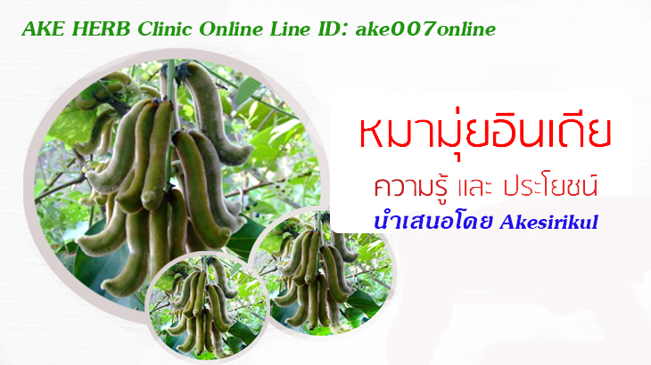 عԹ Թ¤Ǻ š 1500 ҷ ʹդسҾ٧ Line ID:  ake007online